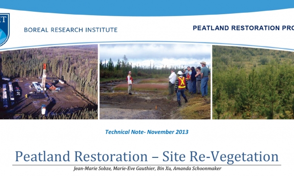 Peatland Site Revegetation Title
