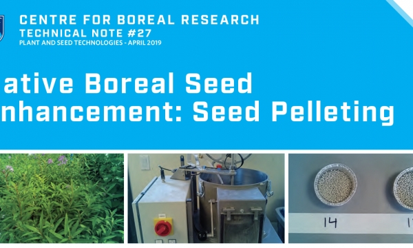 Seed Pelleting Title