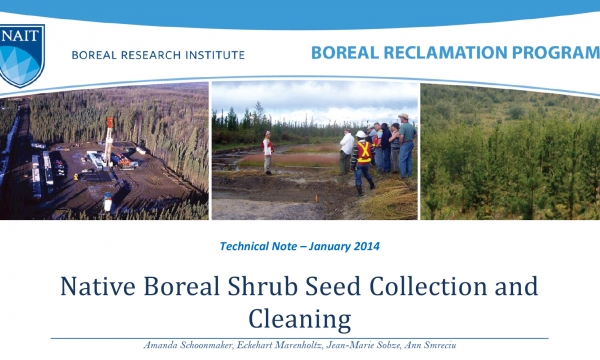 Harvesting and Cleaning Fleshy Shrub Seed for Reclamation Title