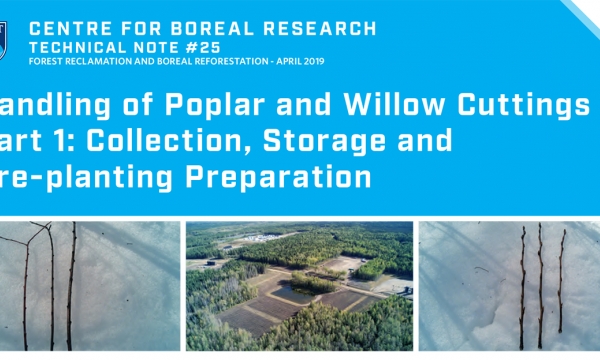 Handling of Poplar and Willow Cuttings Part 1