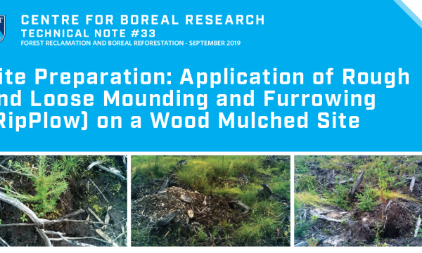 Rough and Loose Title