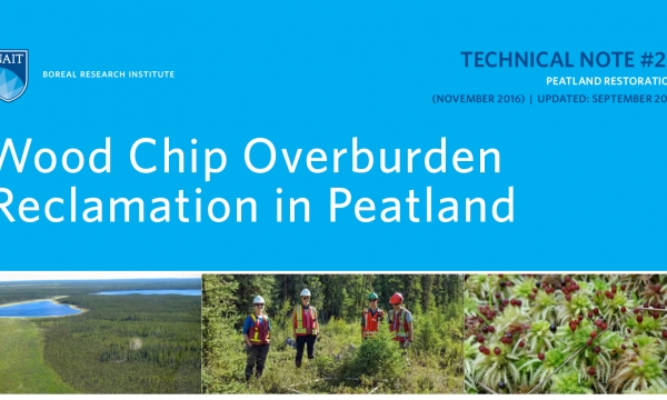 Wood Chip Overburden Title