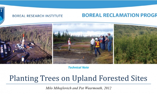 Woody_Vegetation_Establishment-Title