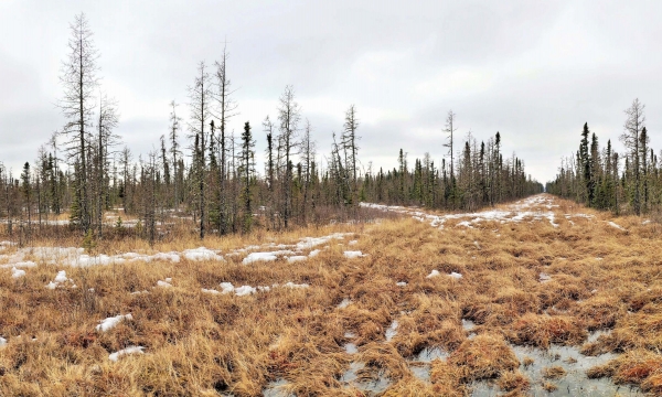 Hummock Transfer Site Reclaim