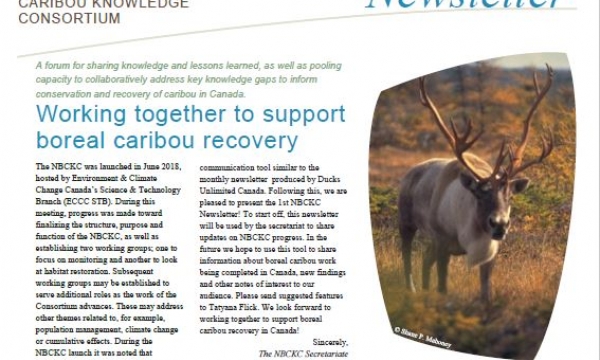 Newsletter front page