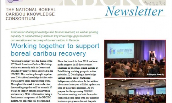 Newsletter front page