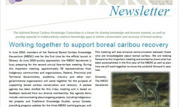 Newsletter front page