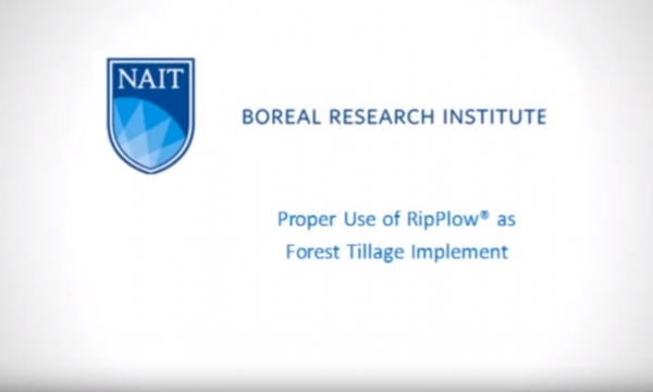 How to Use a RipPlow in Forest Reclamation