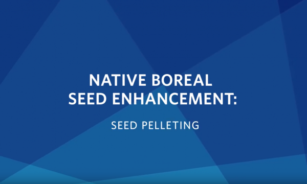 Seed Pelleting Video