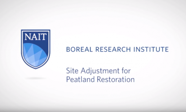 Site adjustment trial title