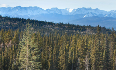 Land Management Portal Banner
