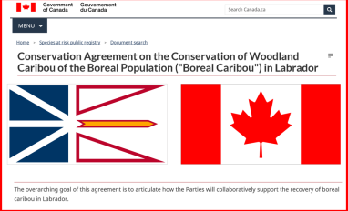 Screenshot of species at risk registry website, edited to show the title of the conservation agreement. Overlain is the flag of Newfoundland and Labrador, as well as the Flag of Canada.