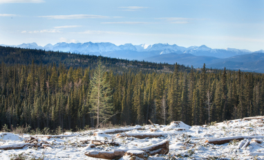 About Land Management Image