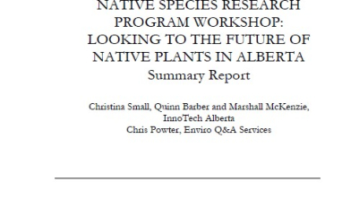 Cover page for report