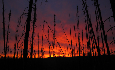 Birch Mountain Wetland Alberta