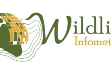Wildlife Infometrics Inc. LOGO