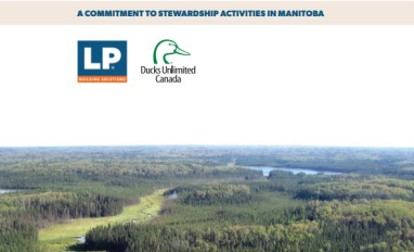 Boreal wetlands and waterfowl