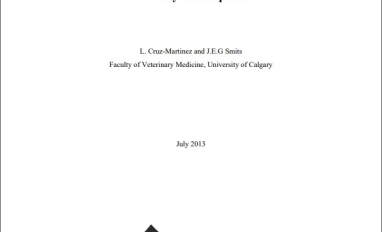 Report cover page