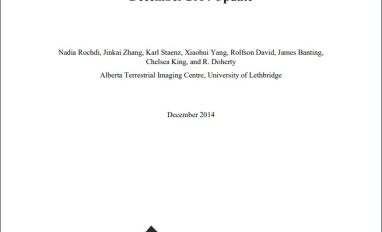 Report cover page