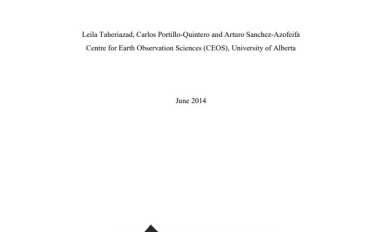 Report cover page