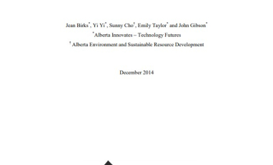Report cover page