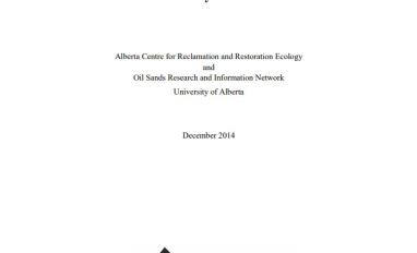 Report cover page