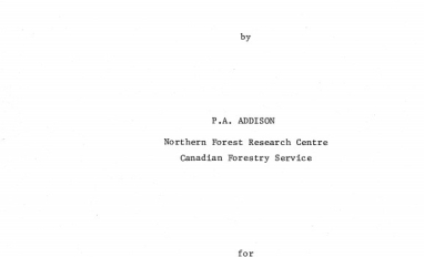 Report cover page