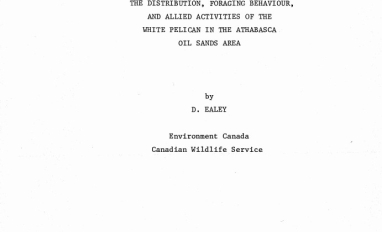 Report cover page