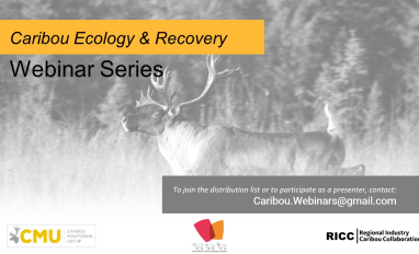 Caribou Ecology and Recovery Webinar Series