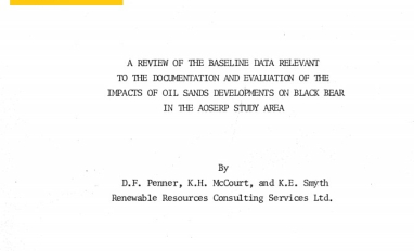 Report cover page