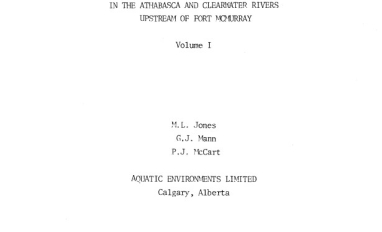 Report cover page
