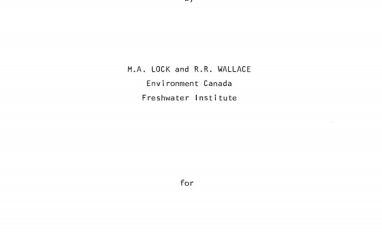 Report cover page