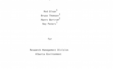 Report cover page