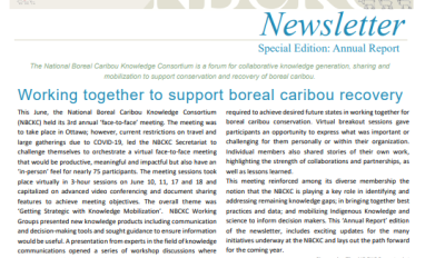 Screenshot of the cover page of the newsletter