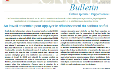 Page couverture du rapport annuel 2020