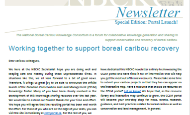 Screenshot of the cover page of the newsletter