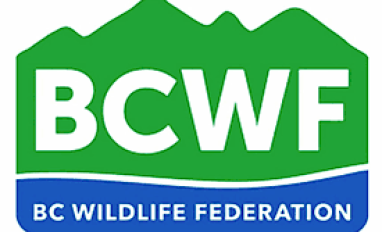 BCWF_logo