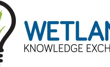 Wetland Knowledge Exchange logo