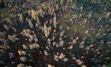 Fort Nelson First Nation - Kotcho Lake Area