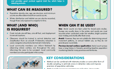 Screenshot of the factsheet 