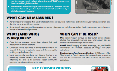 Screenshot of the factsheet 