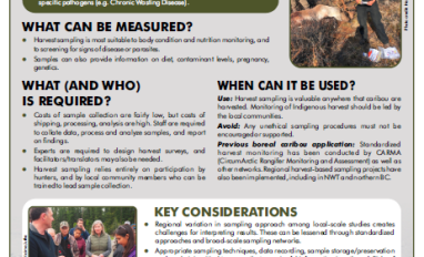 Screenshot of the factsheet 