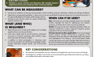 Screenshot of the factsheet 