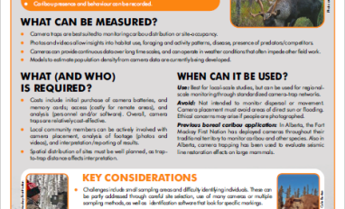 Candle Trapping Factsheet 