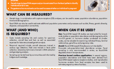 Screenshot of the factsheet 