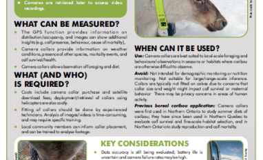 Camera Collars Factsheet