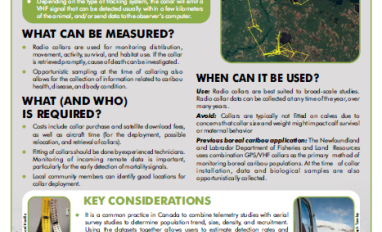 Screenshot of the factsheet 