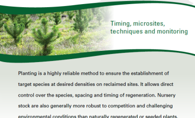 Cover - A guide to planting fact sheet