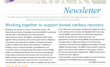 NBCKC Newsletter #11 - January 2021