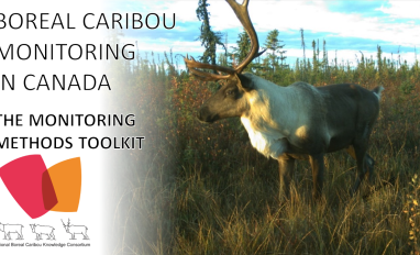 Cover image from video diagram 